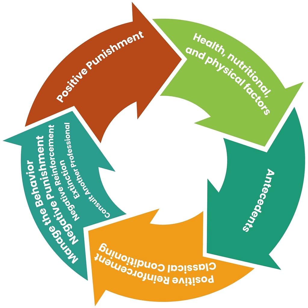 About health, nutritional, and physical factors