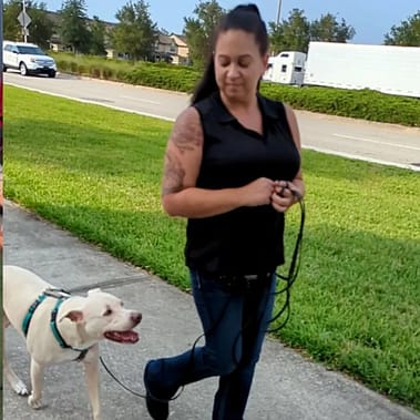 Amanda walking her dog Applejack who used to have reactivity.