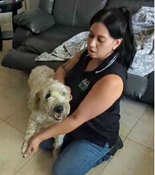 Amanda helping a wheaten terrier who has bitten Amanda demonstrates training a wheaten terrier to overcome nail clipping aggression and dog behavior concerns.