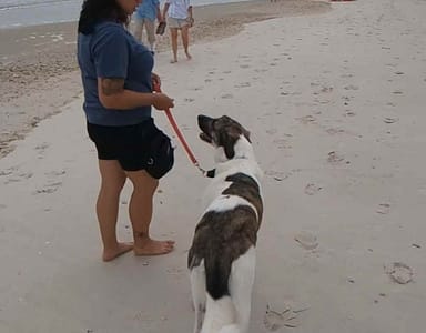 30 20250408 193819 0029 30 20250408 193819 0029