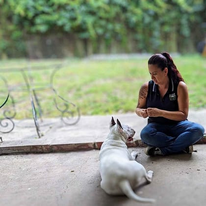 amanda and owen amanda and owen