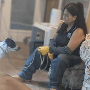 Amanda working with an aggressive rescue dog Amanda working with an aggressive rescue dog behavior concerns.