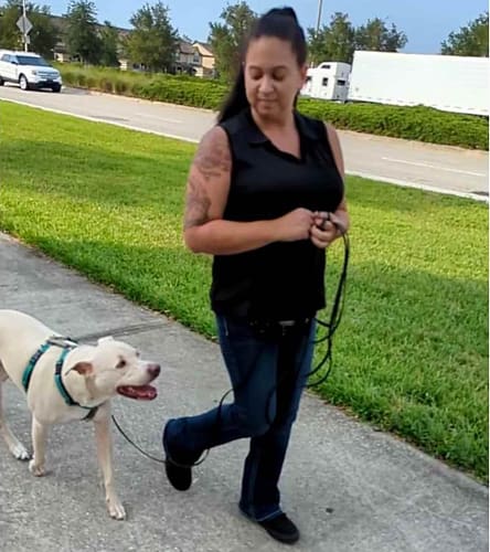 Amanda with Applejack Amanda working with her dog who used to struggle with dog reactivity.