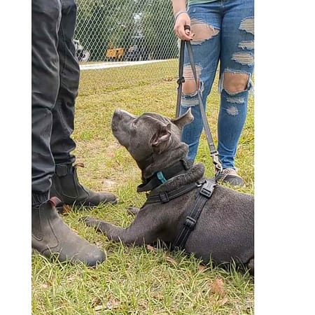 29 20250408 193819 0028 29 20250408 193819 0028