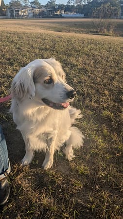 pxl 20241217 214818849.mp pxl 20241217 214818849.mp