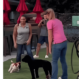 Helping Jacksonville Dog Owners Enjoy a Fulfilling Life with Their Dogs 8