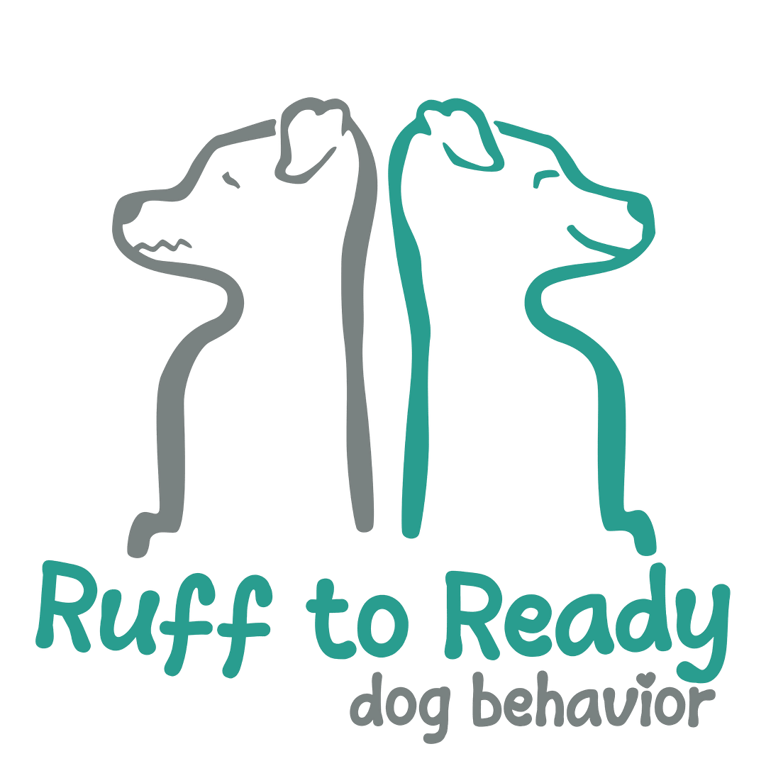 Ruff to Ready Dog Behavior