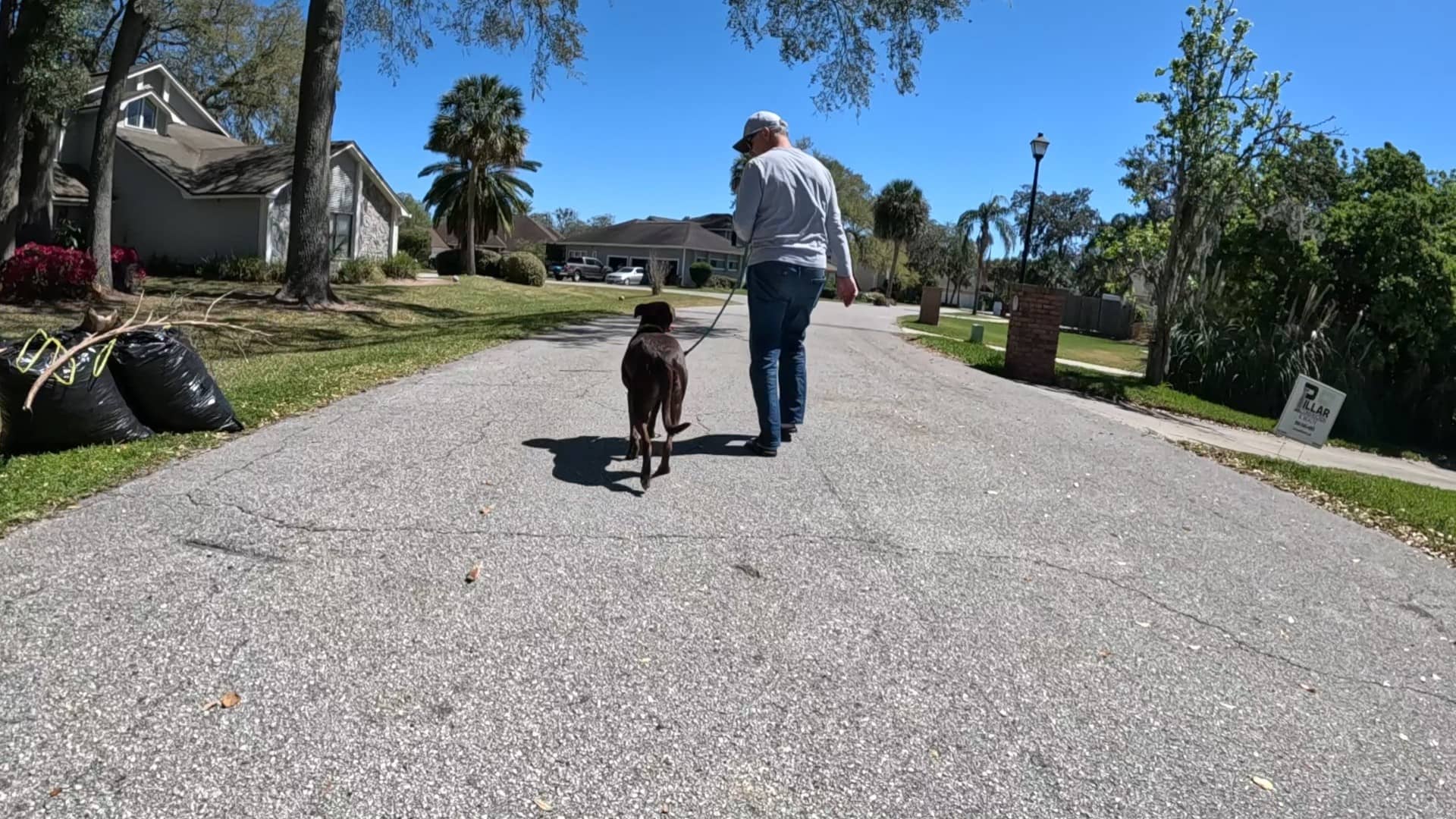 Man walking trained dog on street